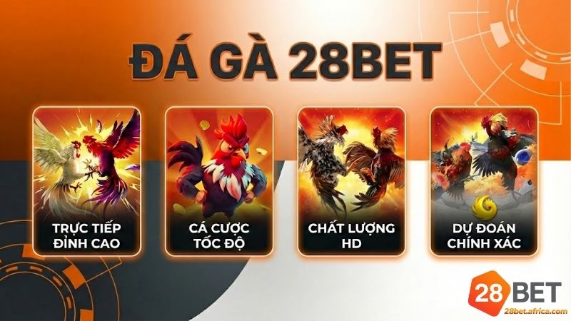 da-ga-28bet-dau-truong-kich-tinh-va-dang-cap-hang-dau